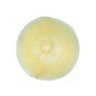 Comair Knotenrolle blond 11cm