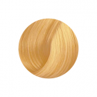 Wella Koleston Rich Naturals 10/3 hell lichtblond gold